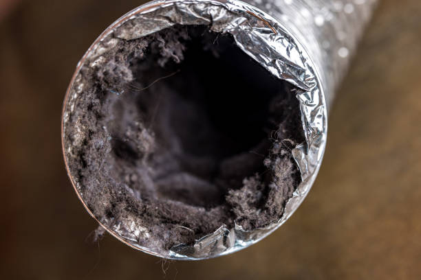 Best Affordable Duct Cleaning Services  in University Heights, OH