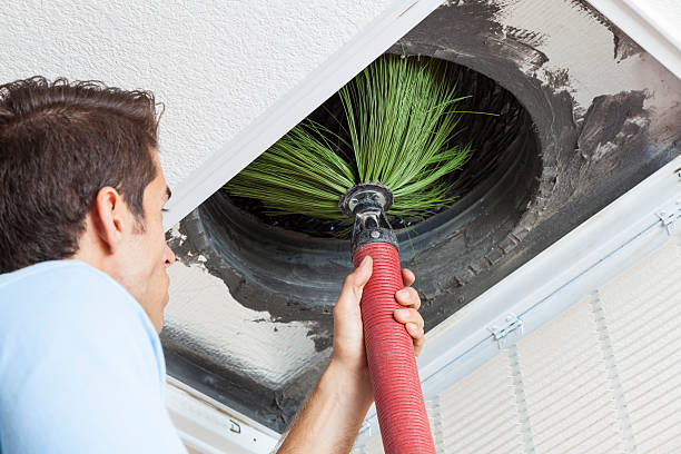 Best HVAC Air Duct Cleaning  in University Heights, OH